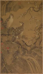 Adler, 1368-1644