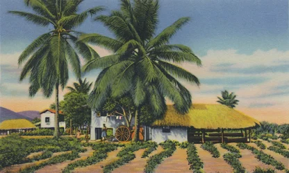 Ostindische Hütten, Trinidad, B.W.I., ca. 1940er Jahre