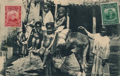 El Renacimiento de L. Pena y Ca. - Dragones y Zuleta - Havanna, 1913