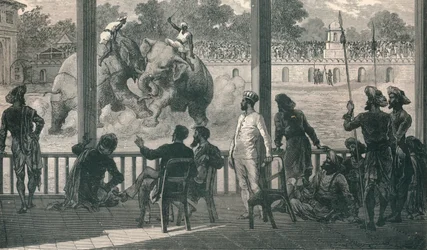 Elefantenkampf in Baroda, 1896