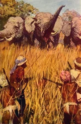 Elefanten in der Jagd, um 1850, um 1912