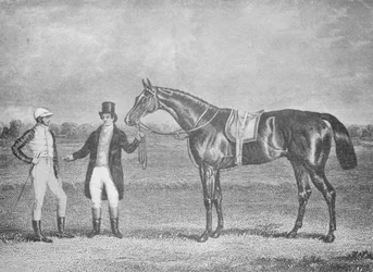 Euklid, Zweiter im St. Leger, 1839, nach einem toten Rennen mit Charles XII, um 1839