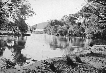 Abendliche Schatten, Nationalpark, ca. 1900