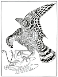 Falke und Reiher, 16. Jahrhundert, 1886