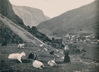 Flaam, 1914