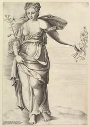 Flora