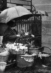 Blumenverkäuferin, Piccadilly Circus, London, 1926-1927