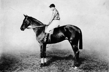 Fliegender Fuchs, 1896-1911