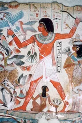 Vogeljagd in den Marschen: Wandmalerei aus dem Grab des Nebamun, Theben, Ägypten, um 1350 v. Chr.