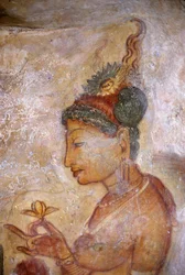 Fresko, Damen von Sigiriya, Sri Lanka