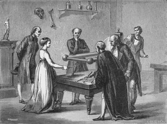 Galvanis Entdeckung, 1780