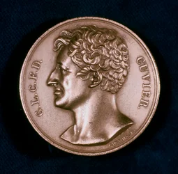 Georges Leopold Chretien Frederic Dagobert, Baron Cuvier, französischer Anatom, 19. Jahrhundert