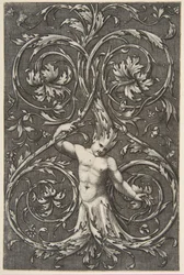 Groteske mit männlicher Figur mit Unterkörper und Kopf aus Akanthusranken, ca. 1515-1600