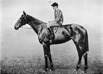 Hacklers Stolz, um 1860, 1911