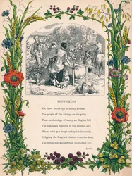 Hopfenpflücken, ca. 1900