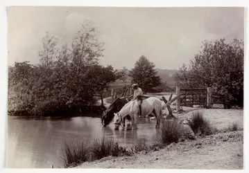 Pferde trinken an einem Teich, um 1890