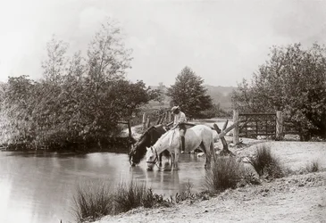 „Pferde trinken am Teich“, um 1890