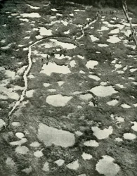 Wie das Wetter den Vormarsch behinderte, 1919