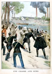 Bärenjagd, 1901