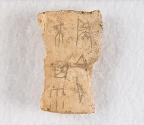 Beschriftetes Knochenfragment Orakelknochen