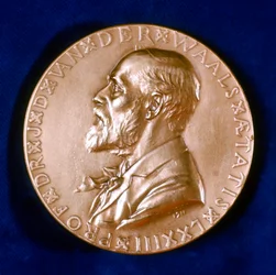 Johannes Diderik van der Waals, niederländischer Physiker