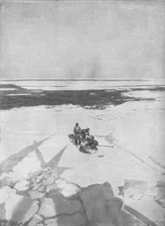Robbenjagd, 1911, 1928