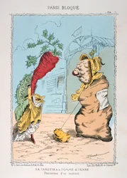 Die Karotte und die Kartoffel, 1870-1871