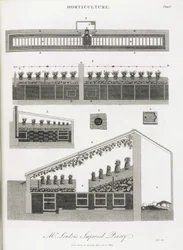 Das Gewächshaus für Ananas, Aufriss und Schnitt des Gebäudes