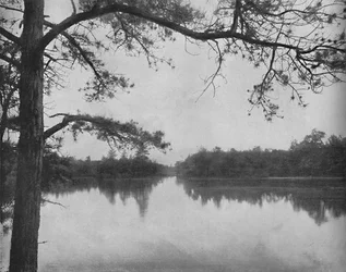 Lake of the Isles, Thousand Islands, ca. 1897