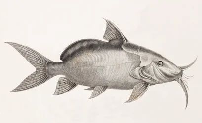 Der Pimedlode Guemel (Nahaufnahme)