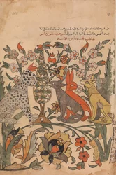 Leopard überbringt Löwenbefehl an Mitrichter, Folio 51 recto aus einem Kalila wa Dimna, 18. Jahrhundert