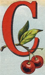 Buchstabe C: Kirschen. Gravur in "Alphabet de ma petite fille". Bernardin-Bechet und Fils, Buchhändler-Verleger, Paris, um 1895. Unzerbrechliches Album auf Leinwand. Bibliotheque des Bebes. 12 Seiten. Album mit einer Lesemethode und einem illustrierten Abe