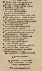 Libretto neu komponiert von Meister Domenico da Sera...arbeiten von jedem s...