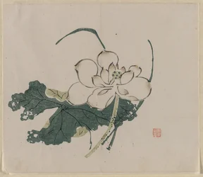 Lotusblüte, 1368-1644