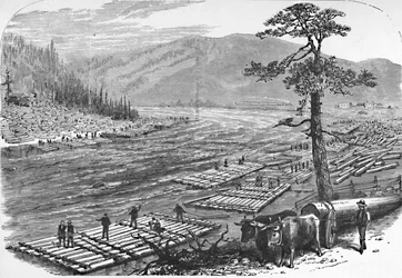 Floßbau auf dem Susquehanna River. Eine Szene an der Linie der Erie Railroad, 1883