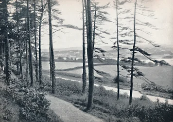 Menai - Von Bangor Wood, 1895