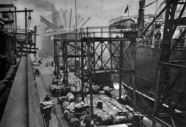 Kaufmannsschiffe im Royal Albert Dock, London, 1926-1927