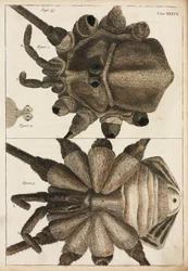 Mikroskopie