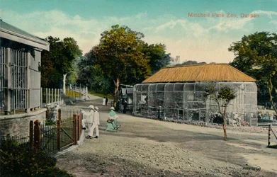 Mitchell Park Zoo, Durban, ca. 1915