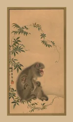 Affe, 19. Jahrhundert, 1886