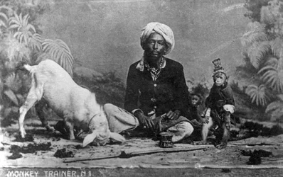 Affen-Trainer, Indien, 20. Jahrhundert
