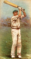 Mr. A. E. R. Gilligan Sussex, 1928