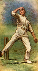 Mr. J. C. White Somerset