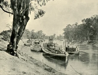 Murray Lastkähne und Dampfschiffe in Echuca, 1901