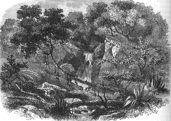 Neuseeländische Landschaft, ca. 1880