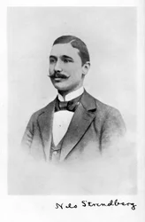 Nils Strindberg, 1872-1897, schwedischer Fotograf, 1931
