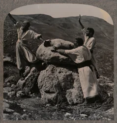 Opfergabe eines Lammes auf dem Altar, Moreh, ca. 1900