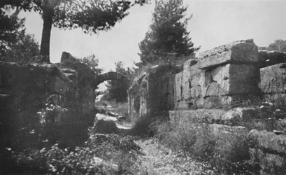 Olympia - Eingang zum Sportfeld, 1913