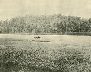 Am Enoggera-See, 1901