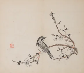 Seite aus Shi Zhu Zhai